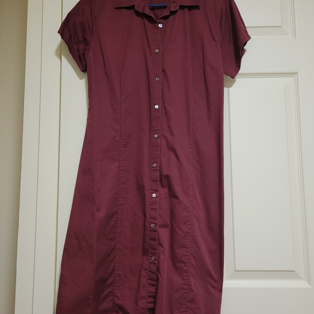 Banana Republic Button Down Dress